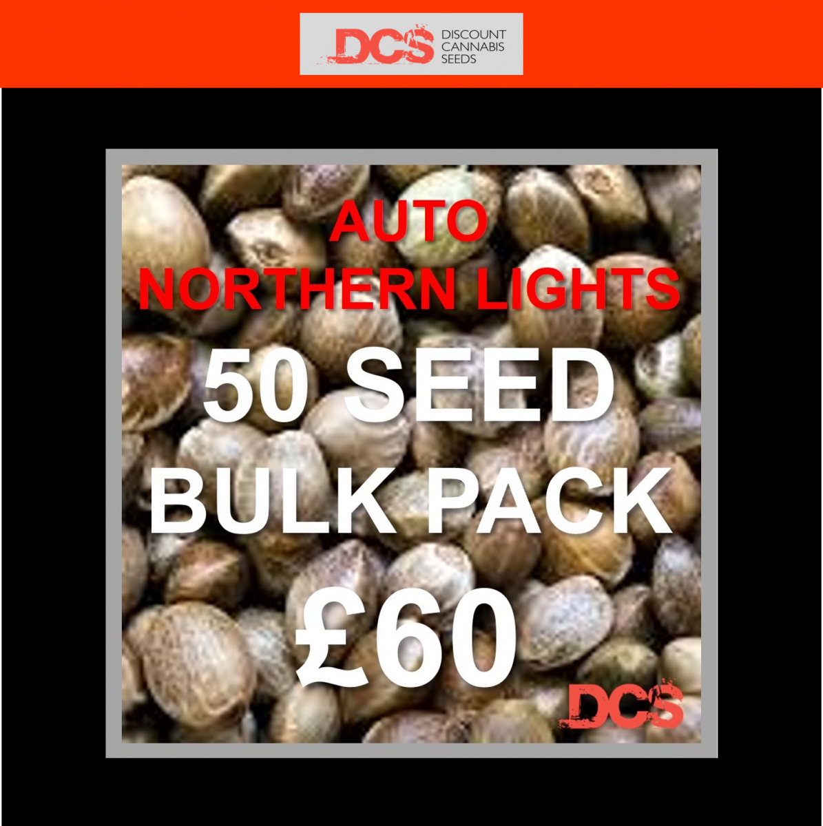 Bulk Cannabis Seeds Get 50 Seeds for £60 at Cannabis Seeds Store