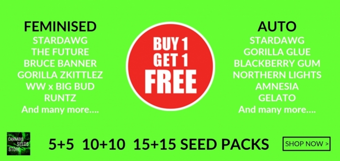 BOGOF Deals on Cannabis Seeds at Cannabis Seeds Store.