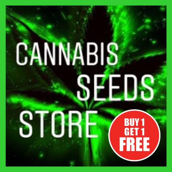 Exceptional Deals: Explore Cannabis Seeds Store Promotions Today!