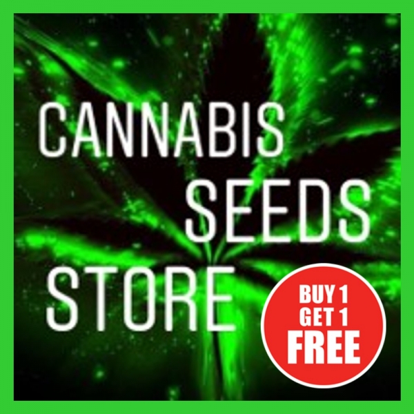 Cannabis Seeds Store is the Ultimate Destination for Unbeatable Deals