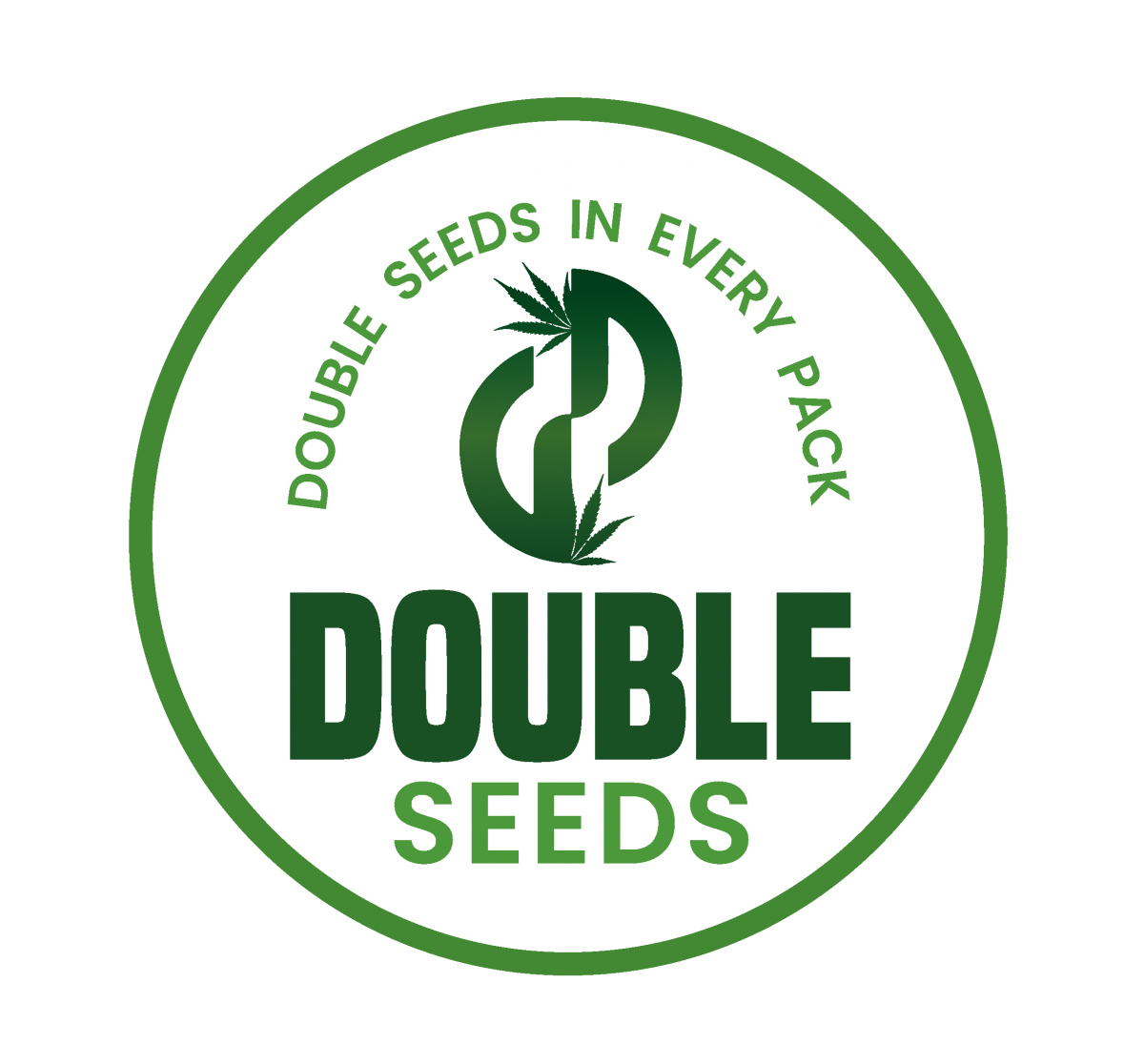 Blue Kush Feminised Cannabis Seeds - Double Seeds