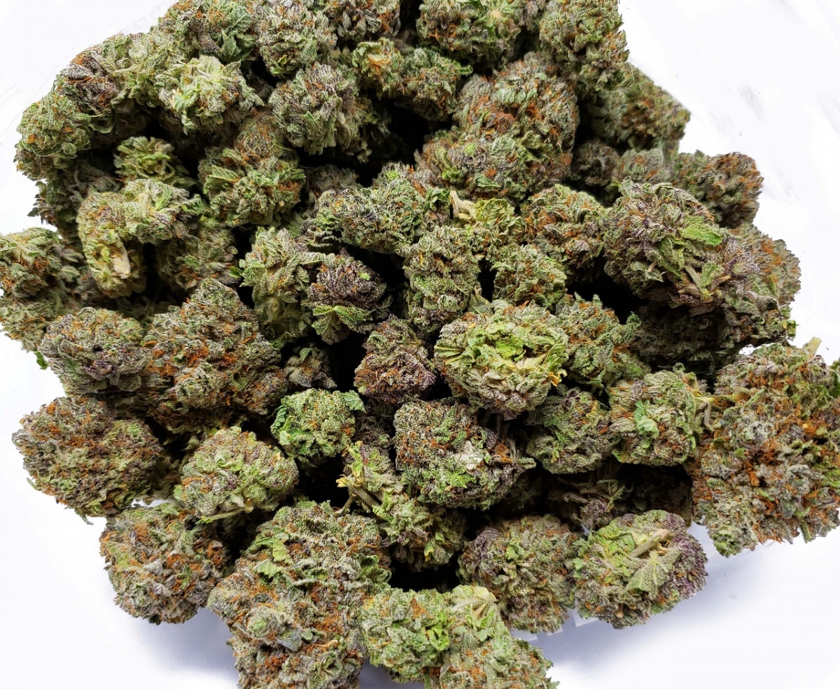 Stardawg Cannabis Seeds: A Superior Choice Amongst Cannabis Varieties.