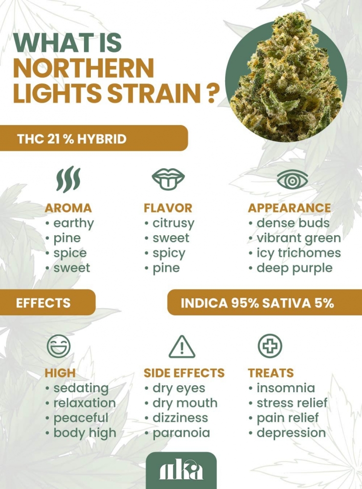 Comparing Northern Lights Cannabis Seeds with Other Popular Strains.