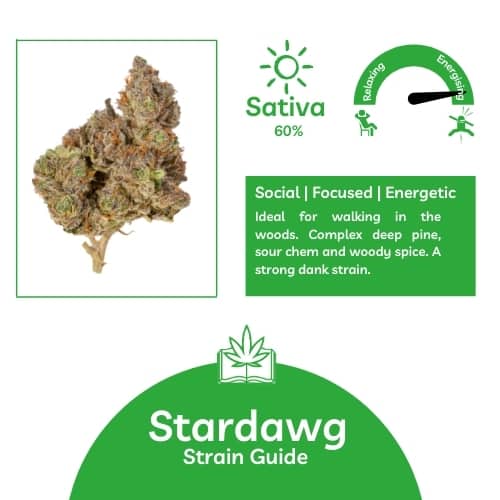 Celebrate Your Success in Growing Stardawg Cannabis Seeds.