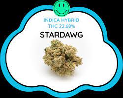 Stardawg Cannabis Seeds: Expert Tips and Techniques.