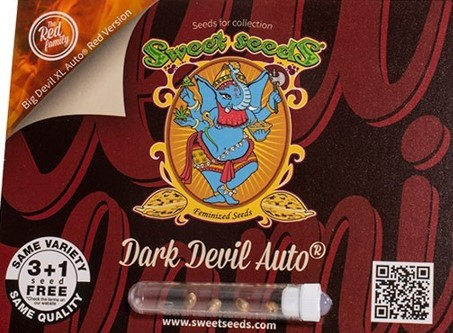 Unleashing the Power of Dark Devil Cannabis Seeds.