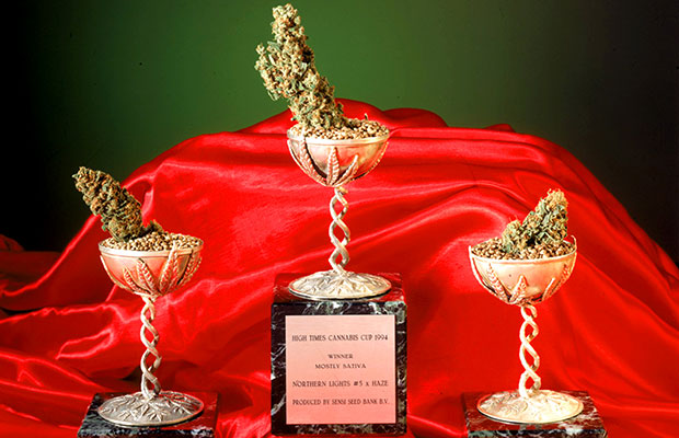 Sativa-Dominant Cup-Winning Cannabis Seeds Strains.