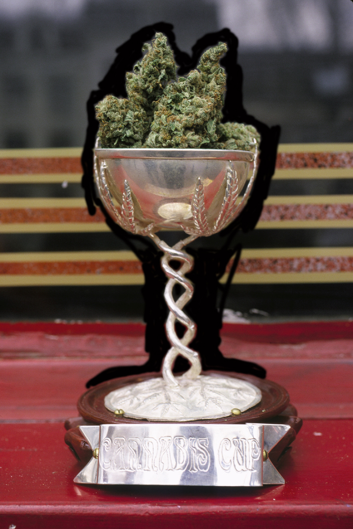  Unveiling the Champions: Popular Cup-Winning Cannabis Seeds.