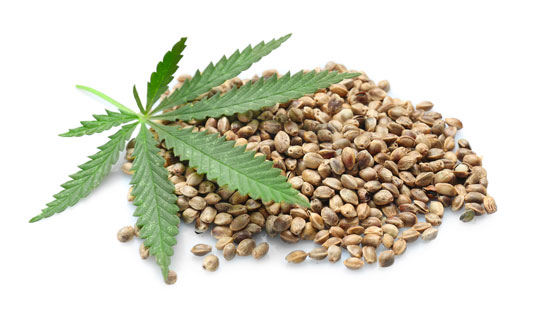 Healing Power of Medical Cannabis Seeds: Treating Medical Conditions