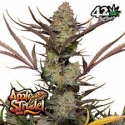 Apple Strudel Auto Feminised Cannabis Seeds | Fast Buds.