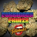 Forbidden Fruitz Auto Feminised Cannabis Seeds - Tastebudz.