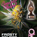 Frosty Gelato Feminised Cannabis Seeds - Growers Choice